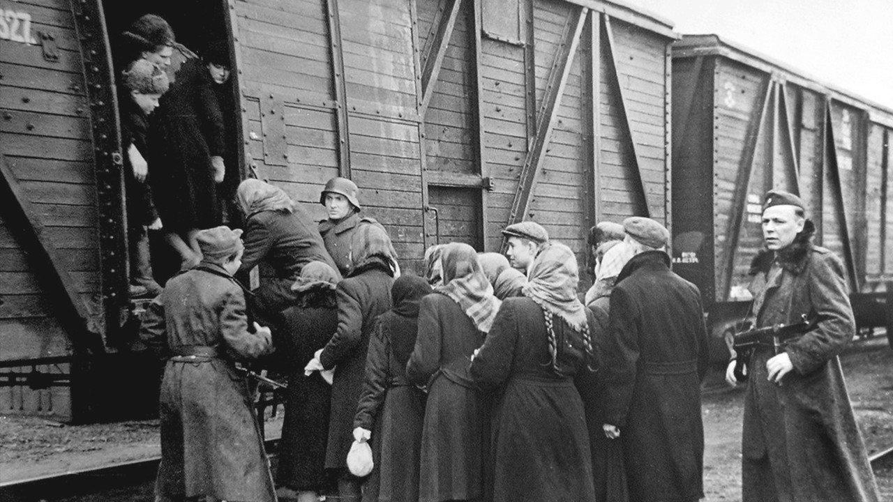 A Canadian War Story backdrop