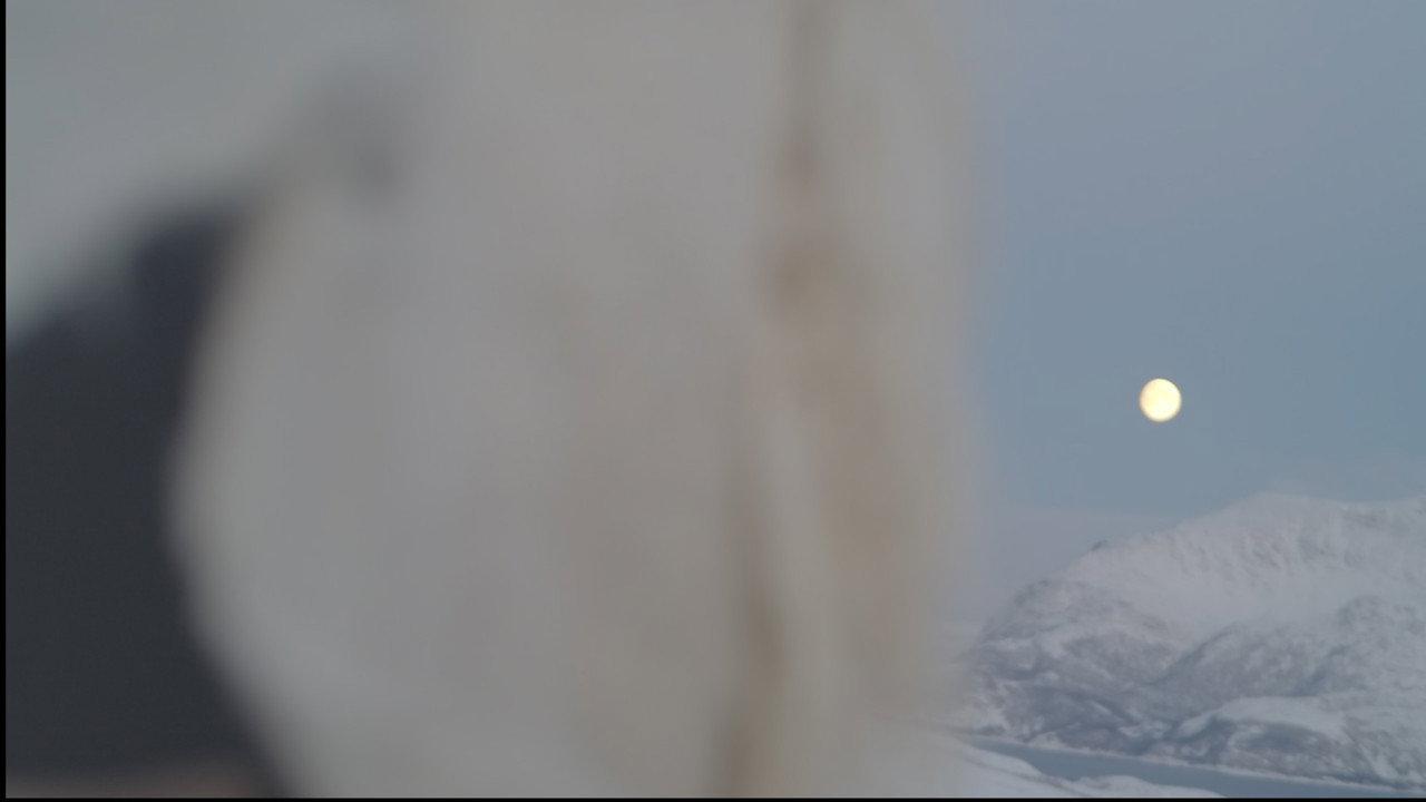 Ullguden backdrop