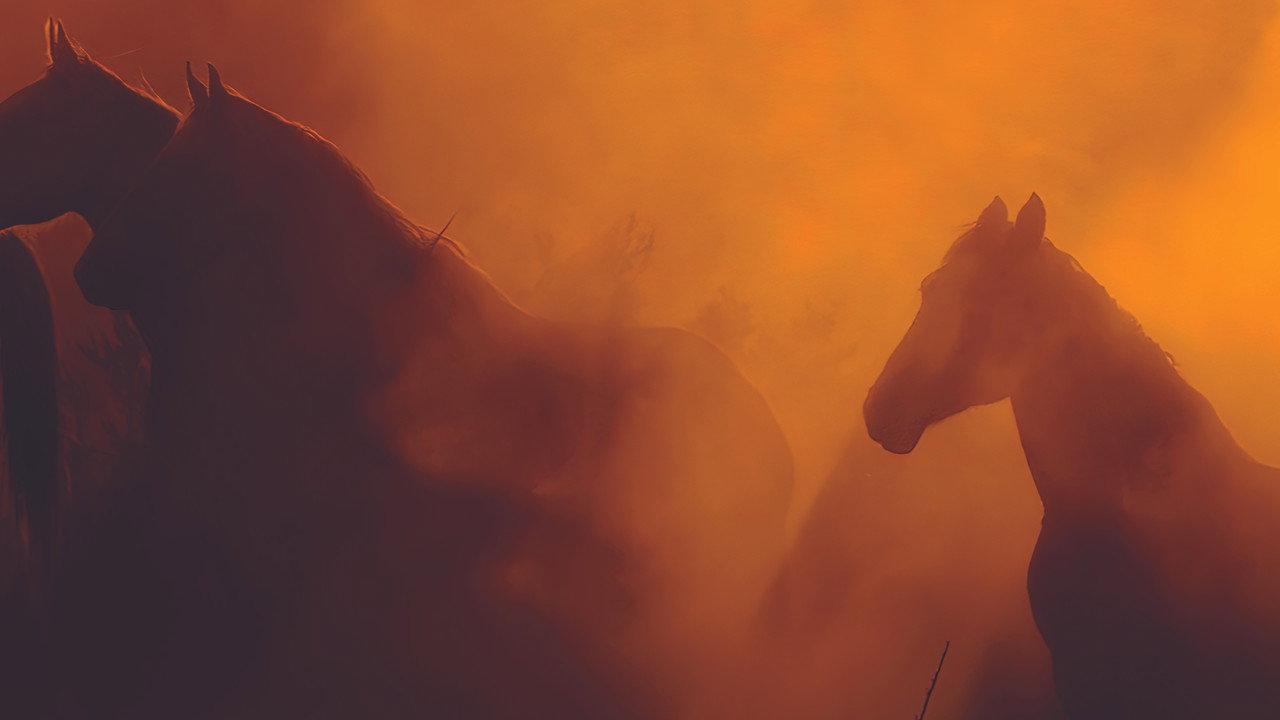 Wild Beauty: Mustang Spirit of the West backdrop