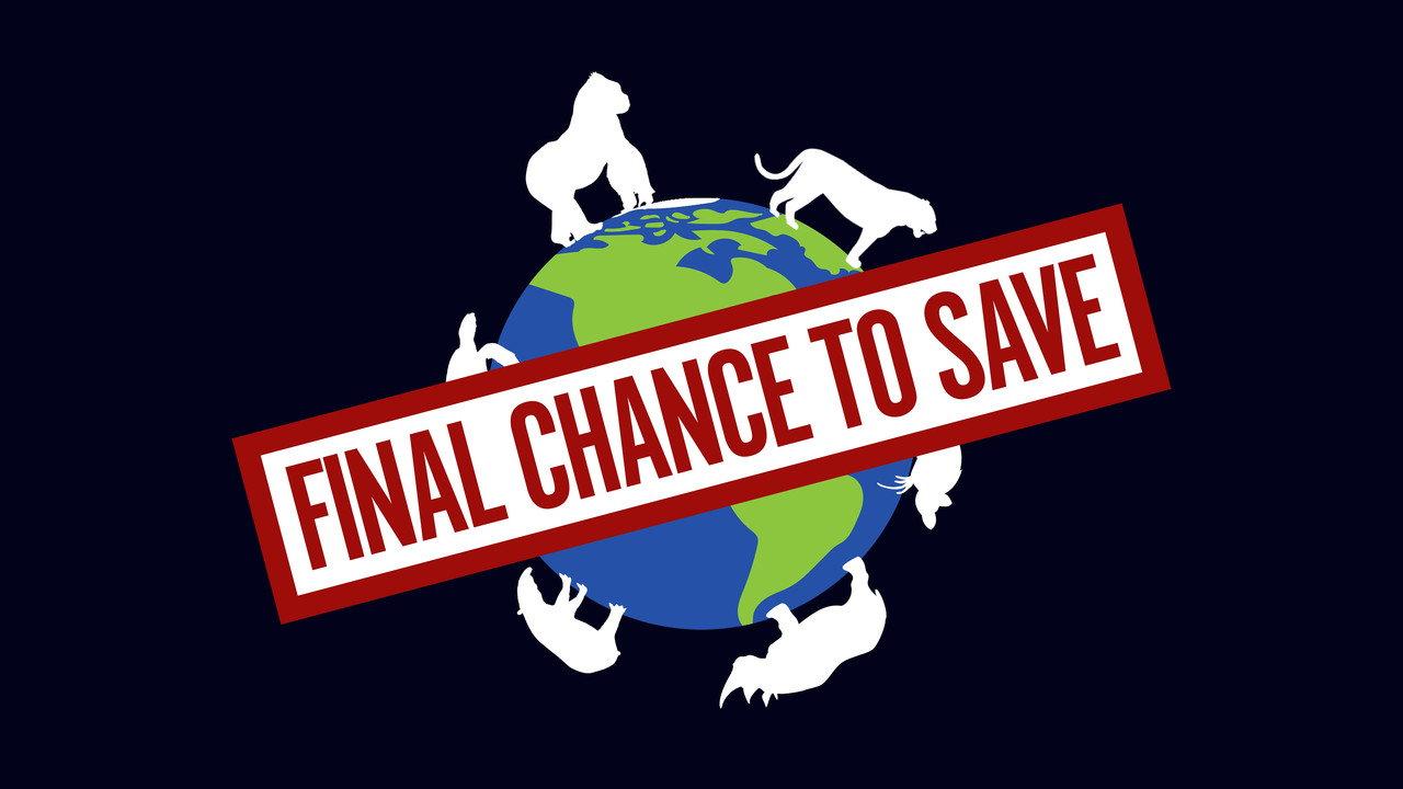 Final Chance to Save backdrop