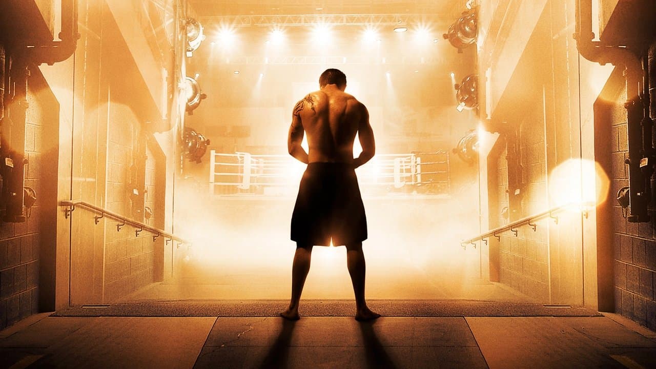 Warrior backdrop