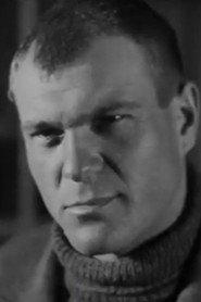 Vladimir Voyshvillo profile photo