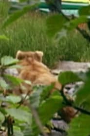 Quincy the Bear profile photo