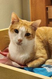 Barry profile photo