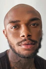 Davi Stefond profile photo