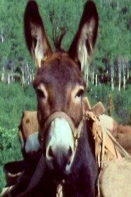 Number Seven profile photo