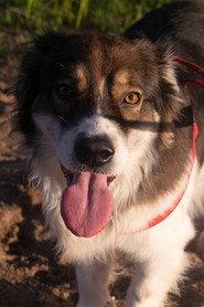 Beethoven Marcos profile photo