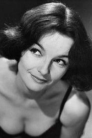 Jeanne Darville profile photo