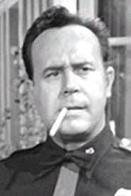 Don Shelton profile photo