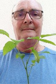 Klaus Hilbert profile photo