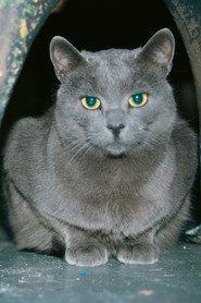 Slavko profile photo