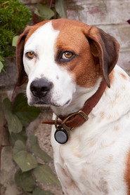 Ned profile photo