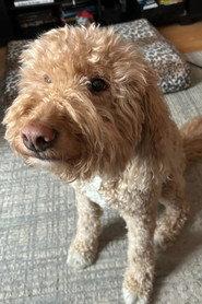 Esme profile photo