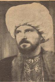 Sami Ayanoğlu profile photo