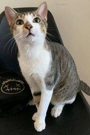 Noah profile photo
