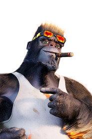 Moussa-K profile photo
