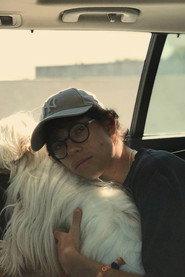 Bardim Afonso profile photo