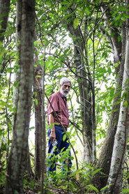 Luciano Braga profile photo