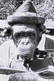 Snooky profile photo