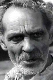 Nikolay Doychev profile photo