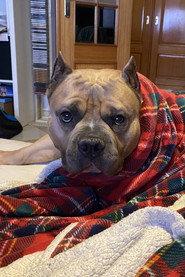Kratos profile photo