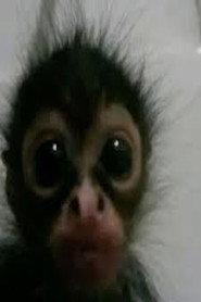 Aminus profile photo