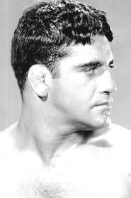 Sammy Stein profile photo