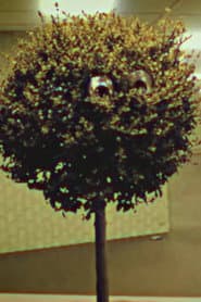 Bosso Magnol profile photo