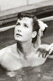 Nancy Hadley profile photo