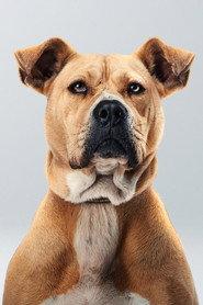 Bal profile photo