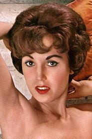 Julie Williams profile photo