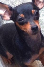 Toff profile photo