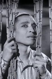 Mounir ElFangary profile photo
