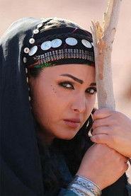 Qamar Khalaf profile photo