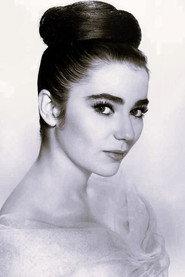 Brigid Bazlen profile photo