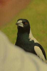 Karl profile photo