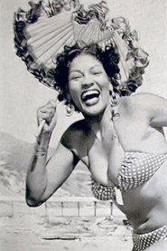 Suzette Harbin profile photo