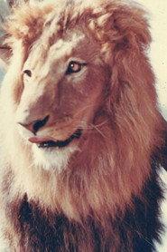 Zamba profile photo