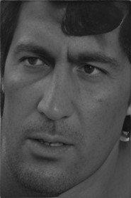 Tair Asadullayev profile photo