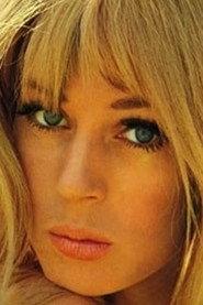 Yvonne Sparrbåge profile photo