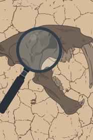 Paleo Analysis profile photo