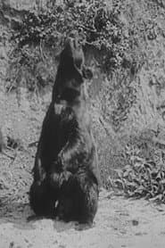 John Brown profile photo