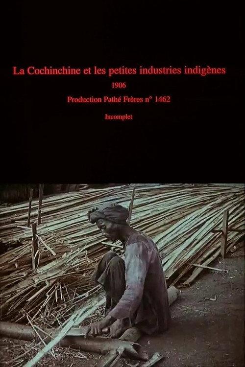 La Cochinchine et les petites industries indigènes backdrop