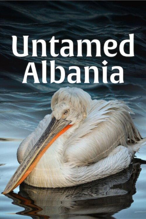 Untamed Albania backdrop