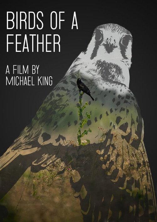 Birds of a Feather backdrop
