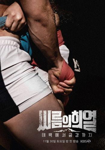 씨름의 희열 - 태백에서 금강까지 backdrop