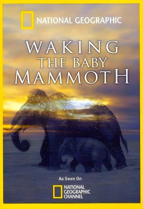 Waking the Baby Mammoth backdrop