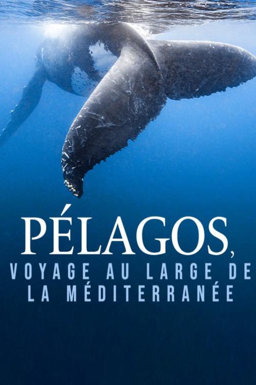 Pélagos, voyage au large de la Méditerranée backdrop
