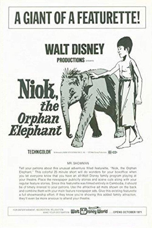 Niok, The Orphan Elephant backdrop