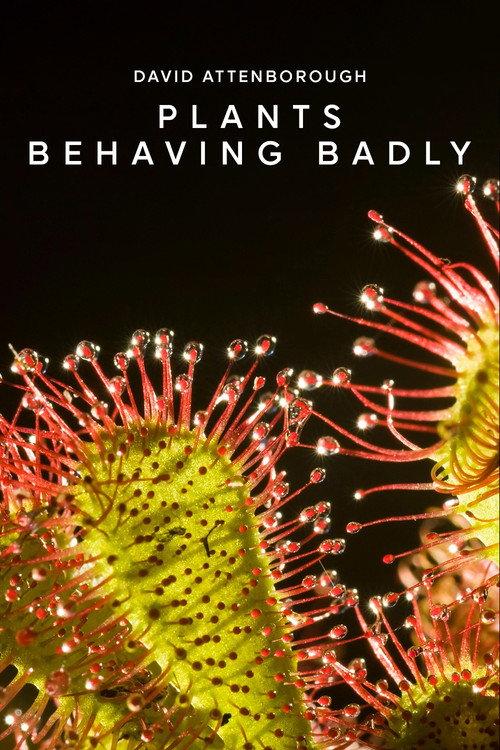 Plants Behaving Badly backdrop